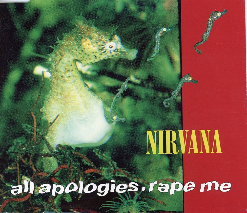 90s NirvanaニルヴァーナAll Apologies ヴィンテージ 90s NirvanaニルヴァーナAll Apologies ヴィンテージ